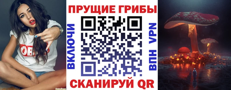 Купить  Зея  Псилоцибиновые грибы Magic Shrooms 
